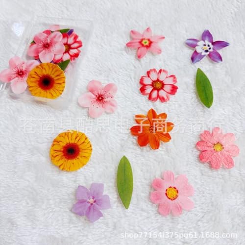ENLACE Blumen Blätter Tortendeko 50 Stück für Geburtstag, Hochzeit, Hawaii-Party, Taufe ENLACE Blumen Blätter Tortendeko 50 Stück für Geburtstag, Hochzeit, Hawaii-Party, Taufe von ENLACE