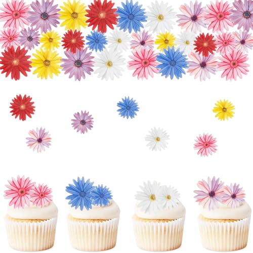 ENLACE Blumen Cupcake Topper, 65 Stück,für Hochzeit Geburtstag Taufe Schulanfang Abschluss ENLACE Blumen Cupcake Topper, 65 Stück,für Hochzeit Geburtstag Taufe Schulanfang Abschluss von ENLACE