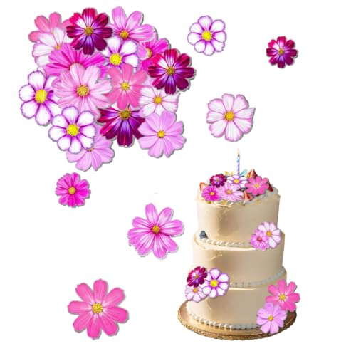 ENLACE Gänseblümchen Tortendeko, 65 Stück, für Geburtstag Hochzeit Taufe ENLACE Gänseblümchen Tortendeko, 65 Stück, für Geburtstag Hochzeit Taufe von ENLACE