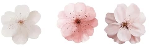 ENLACE Kirschblüten Tortendeko 48 Stück, für Hochzeit, Geburtstag, Taufe ENLACE Kirschblüten Tortendeko 48 Stück, für Hochzeit, Geburtstag, Taufe von ENLACE