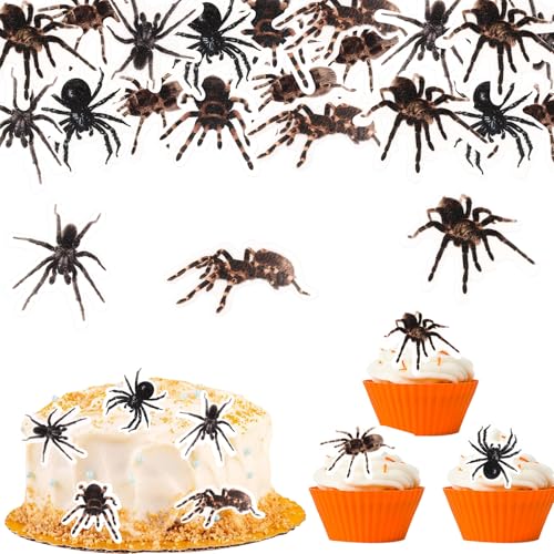 ENLACE Essbare Spinne Tortendeko Halloween Deko Geburtstag, 48 Stück Muffin Deko Halloween Kuchen Dekorationen Essbar, 6 Stile, Esspapier Tortendeko Spinne Kuchendeko Halloweenparty Horror-Party von ENLACE