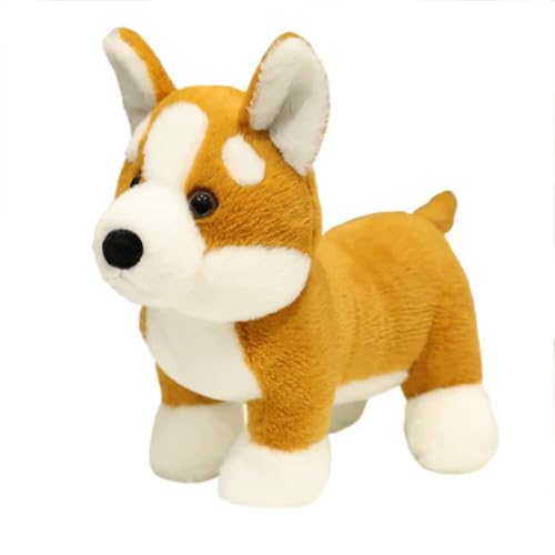 EPRHAY 25cm Niedlicher Corgi Plüschtier Kuschelig Weiches Spielzeug Welpen Stofftier Fülltier Spielzeug Kissen Aufmerksames Geschenk Dekorative Plüschpuppe von EPRHAY