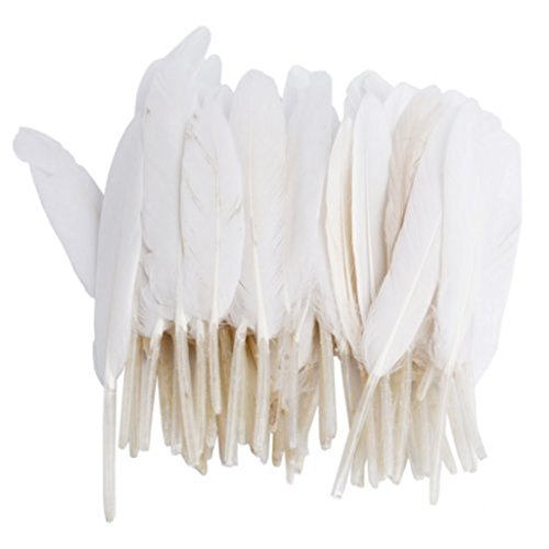 ERGEOB® Gans Federn 100 stück Naturfedern 10-15cm/4-6 Zoll Länge für Art Design Basteln Karneval Rosen Montag Halloween Fest versch. Farben von ERGEOB