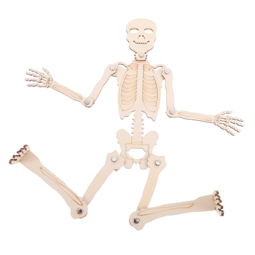 ERINGOGO 1 Satz DIY Skelett Modell Anatomisches Menschliches Skelett zum Zusammenbauen Pädagogisches Lernspielzeug für Wissenschaftsmessen Fördert Aktives Lernen und von ERINGOGO
