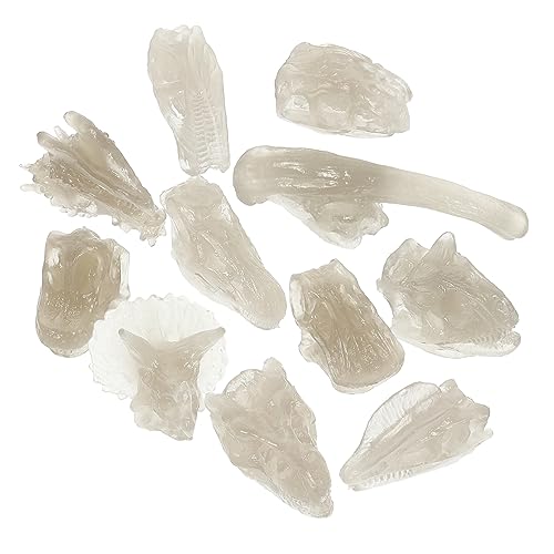 ERINGOGO 1 Satz Dino Skelett Ausgrabungsset für Leuchtender Dinosaurier Kopf aus Fossilienmodell für Jungen und Perfektes für Dino Fans und Partys Handliches Design für Unterwegs Fördert ERINGOGO 1 Satz Dino Skelett Ausgrabungsset für Leuchtender Dinosaurier Kopf aus Fossilienmodell für Jungen und Perfektes für Dino Fans und Partys Handliches Design für Unterwegs Fördert von ERINGOGO