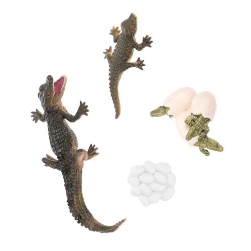ERINGOGO Lebenszyklus Figur Satz für Kinder Hochrealistisches Reptilienwachstumsmodell Lehrmittel für Vorschule und Rollenspiele Lebenszyklus Requisite für ERINGOGO Lebenszyklus Figur Satz für Kinder Hochrealistisches Reptilienwachstumsmodell Lehrmittel für Vorschule und Rollenspiele Lebenszyklus Requisite für von ERINGOGO