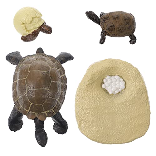 ERINGOGO 1 Satz Schildkröten Wachstumsmodellen Kognitive Spielzeuge für Lebenszyklus zu Lernen Kreative und Lehrreiche Figuren für Imaginative Spielaktivitäten ERINGOGO 1 Satz Schildkröten Wachstumsmodellen Kognitive Spielzeuge für Lebenszyklus zu Lernen Kreative und Lehrreiche Figuren für Imaginative Spielaktivitäten von ERINGOGO