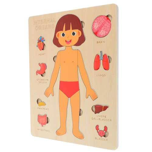 ERINGOGO Pädagogische Puzzlespiele Für Kinder Für Kleinkinder Spielzeug Zur Aufklärung Der Organe des Menschlichen Körpers Naturholz Vorschulunterricht Kinderspielzeug-geschenkset ERINGOGO Pädagogische Puzzlespiele Für Kinder Für Kleinkinder Spielzeug Zur Aufklärung Der Organe des Menschlichen Körpers Naturholz Vorschulunterricht Kinderspielzeug-geschenkset von ERINGOGO