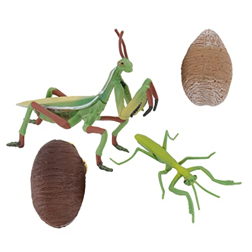 ERINGOGO 1 Set Wachstumszyklus Tierfigur Lernspielzeug Mantis Modell Lernspielzeug Tiermodell Tiere Figur Kinderspielzeug PVC ERINGOGO 1 Set Wachstumszyklus Tierfigur Lernspielzeug Mantis Modell Lernspielzeug Tiermodell Tiere Figur Kinderspielzeug PVC von ERINGOGO