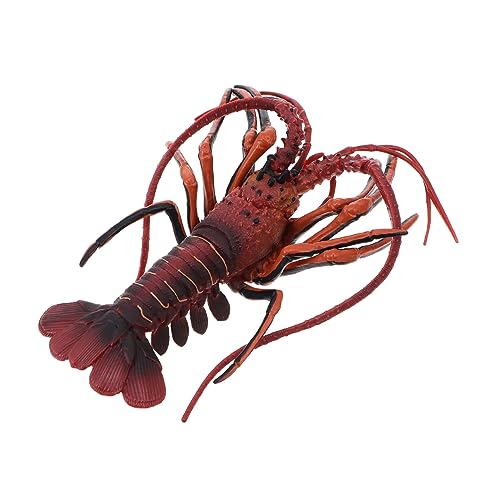 ERINGOGO 1 Stück Hummer-Simulationsmodell dekorativ Tierspielzeug realistisch Hummer Figur Hummer Dekoration Ozeantiere Figuren Hummer Hummer Stofftier Hummer-Modell Plastik rot ERINGOGO 1 Stück Hummer-Simulationsmodell dekorativ Tierspielzeug realistisch Hummer Figur Hummer Dekoration Ozeantiere Figuren Hummer Hummer Stofftier Hummer-Modell Plastik rot von ERINGOGO