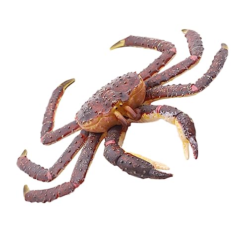 ERINGOGO 1 Stück Simulation Krabbenmodell Krabbenförmiges Modell Simulation Meerestiere Krabben Ornament Lernspielzeug Simuliertes Meeresmodell Hübsche Meerestiere Tiere Modell Kunststoff von ERINGOGO