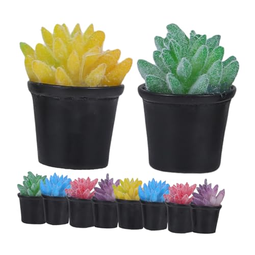 ERINGOGO Erstellen Sie Ihren Miniaturgarten 10er-Pack Mini-töpfe Zur Dekoration ERINGOGO Erstellen Sie Ihren Miniaturgarten 10er-Pack Mini-töpfe Zur Dekoration von ERINGOGO