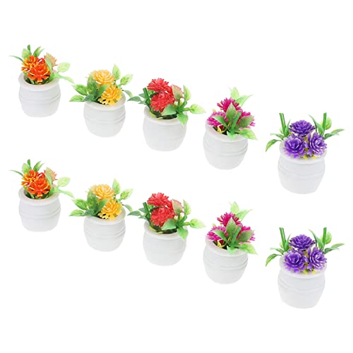 ERINGOGO 10 Stück Miniatur-Bonsai-Figuren Mini-topfpflanzen Für Die Dekoration Landschaftsmodelle Für Mini-hausverzierungen ERINGOGO 10 Stück Miniatur-Bonsai-Figuren Mini-topfpflanzen Für Die Dekoration Landschaftsmodelle Für Mini-hausverzierungen von ERINGOGO