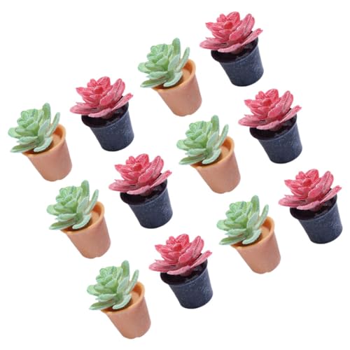 ERINGOGO 12Stücke Künstliche Bonsai Pflanzen Teiliges für Puppenhaus Dekoration und Garten Realistische Topfpflanzen ohne Pflegebedarf für Feengärten von ERINGOGO