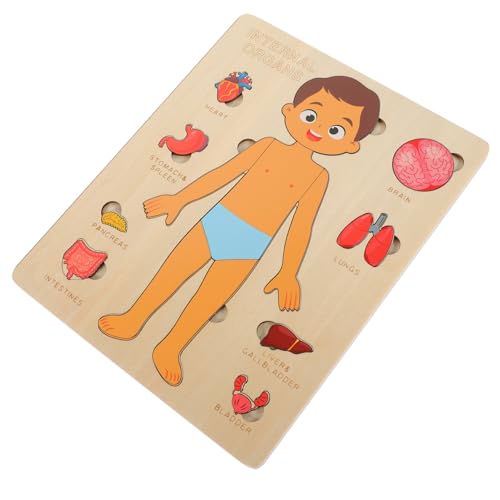 ERINGOGO 1Satz Bildungsorgane Puzzle Hölzernes Menschliches Körperpuzzle für Lernspielzeug zur Sensibilisierung der Inneren Motorik und Kognitive Fähigkeiten für Jungen ERINGOGO 1Satz Bildungsorgane Puzzle Hölzernes Menschliches Körperpuzzle für Lernspielzeug zur Sensibilisierung der Inneren Motorik und Kognitive Fähigkeiten für Jungen von ERINGOGO