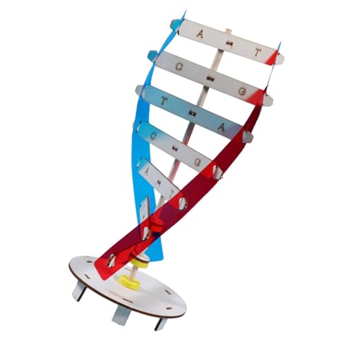 ERINGOGO 1Satz DIY DNA Modell Holzspielzeug Wissenschaftliches Spielzeugset zum Zusammenbauen Fördert Genetikverständnis und Motorik für Ab Jahren Lehrmittel ERINGOGO 1Satz DIY DNA Modell Holzspielzeug Wissenschaftliches Spielzeugset zum Zusammenbauen Fördert Genetikverständnis und Motorik für Ab Jahren Lehrmittel von ERINGOGO