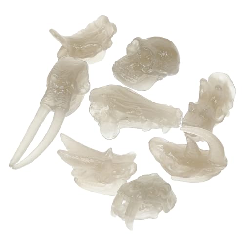 ERINGOGO 1Satz Dinosaurier Knochenmodell Dinosaurier Knochen Und Schädel Leuchtendes Bildungsspielzeug Für Dino Fans Und Kreative Lernspiele ERINGOGO 1Satz Dinosaurier Knochenmodell Dinosaurier Knochen Und Schädel Leuchtendes Bildungsspielzeug Für Dino Fans Und Kreative Lernspiele von ERINGOGO