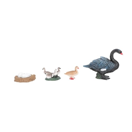 ERINGOGO 1Satz Gänsewachstums Simuliertes Gansspielzeug für Pädagogisches Tiermodell zur Entwicklung der Naturverständnis für Frühe Bildung und Kreative Lernspiele ERINGOGO 1Satz Gänsewachstums Simuliertes Gansspielzeug für Pädagogisches Tiermodell zur Entwicklung der Naturverständnis für Frühe Bildung und Kreative Lernspiele von ERINGOGO