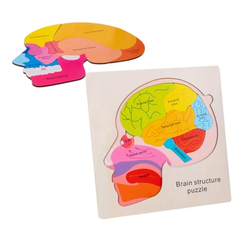ERINGOGO 1Satz Holz Gehirnstruktur Puzzle Für Kleinkinder Interaktives Lernspielzeug Zur Kognitiver Fähigkeiten Und Motorik Für Eltern Junge Mädchen Spiele Mit Großen von ERINGOGO