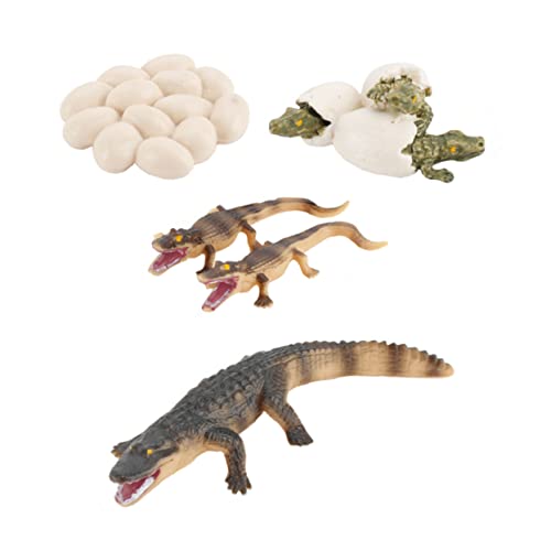 ERINGOGO 1satz Realistischer Krokodil-wachstumsmodelle Lehrspielzeug Für Mädchen Fördert Die Kreativität Tierwachstum Für Und Dekoration von ERINGOGO