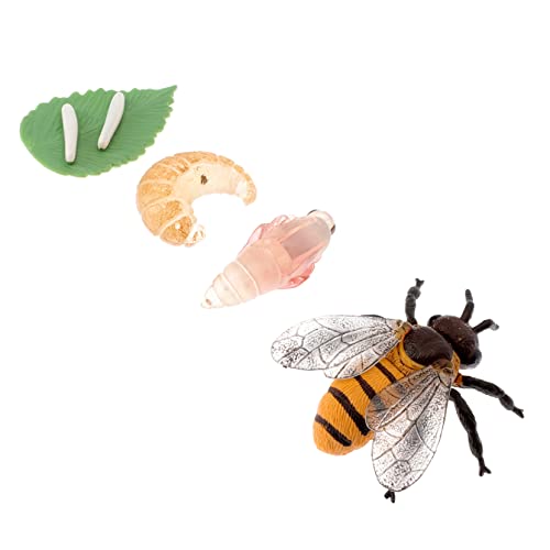 ERINGOGO 1Satz Miniaturmodell Bienenwachstumsmodell Teiliges für Biologische Bildung und Kreative Spiele für Interesse ERINGOGO 1Satz Miniaturmodell Bienenwachstumsmodell Teiliges für Biologische Bildung und Kreative Spiele für Interesse von ERINGOGO