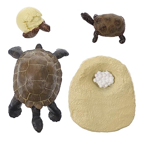 ERINGOGO 1Satz Schildkrötenwachstumszyklus Modell Realistische Simulation Figur Für Lehrzwecke Tierentwicklung Für Lernhilfe Für Lebenszyklus Und Evolution ERINGOGO 1Satz Schildkrötenwachstumszyklus Modell Realistische Simulation Figur Für Lehrzwecke Tierentwicklung Für Lernhilfe Für Lebenszyklus Und Evolution von ERINGOGO
