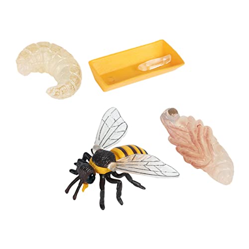 ERINGOGO 1Satz Teiliges Bienen Lebenszyklus Figuren Pädagogisches Für Nachbildung des Bienenwachstums Kognitive Lernhilfe Für Jungen Und Mädchen ERINGOGO 1Satz Teiliges Bienen Lebenszyklus Figuren Pädagogisches Für Nachbildung des Bienenwachstums Kognitive Lernhilfe Für Jungen Und Mädchen von ERINGOGO