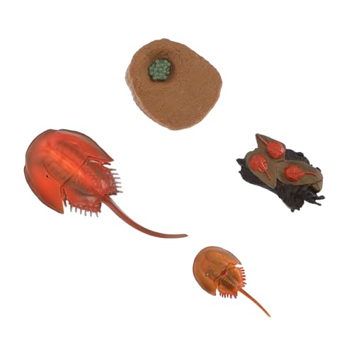 ERINGOGO 1Satz Tier Teiliges Realistisches Lernspielzeug für Wohnzimmer und Büro Fördert über Tierlebenszyklen und Kreative Spielmöglichkeiten von ERINGOGO