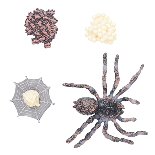 ERINGOGO 1Satz Tierfigur Set Umweltfreundliches Lernspielzeug für Simulation des Lebenszyklus von Tieren für Garten Dekoration und Kreative Foto Requisiten Spinnen Modell ERINGOGO 1Satz Tierfigur Set Umweltfreundliches Lernspielzeug für Simulation des Lebenszyklus von Tieren für Garten Dekoration und Kreative Foto Requisiten Spinnen Modell von ERINGOGO
