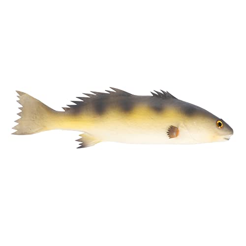 ERINGOGO 1Stück Künstlicher Fischspielzeug Realistisches Dekorationsobjekt Für Zuhause Und Büro Lebendig Raumgestaltung Meeresliebhaber ERINGOGO 1Stück Künstlicher Fischspielzeug Realistisches Dekorationsobjekt Für Zuhause Und Büro Lebendig Raumgestaltung Meeresliebhaber von ERINGOGO