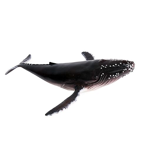 ERINGOGO 1Stück Modell Realistisches Ozeanfigurenspielzeug Aus Kunststoff Humpback Whale Deko Figur Für Home Office Kreatives Meerestier von ERINGOGO