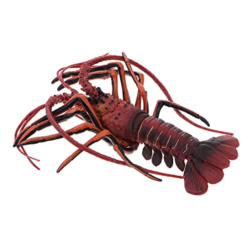 ERINGOGO 1Stück Simuliertes Hummer Modell Realistisches Creature Modell Für Lernspielzeug Und Dekoartikel Für Zuhause Oder Büro Für Familie Und Freunde ERINGOGO 1Stück Simuliertes Hummer Modell Realistisches Creature Modell Für Lernspielzeug Und Dekoartikel Für Zuhause Oder Büro Für Familie Und Freunde von ERINGOGO