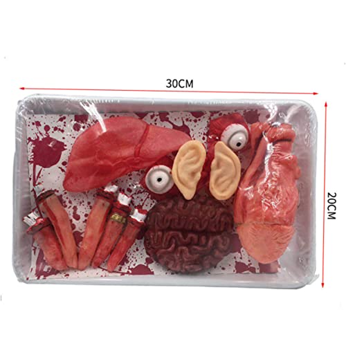 ERINGOGO 2 Boxen Halloween Körperorgan Deko Teilig Gruselige Halloween Requisiten für Party und Bunte Organ Modelle für Zimmer Fenster Tisch Badezimmer Dekoration von ERINGOGO