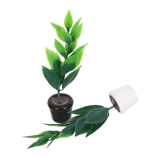 ERINGOGO 2 Stück Puppenhaus Dekoration Realistische Mini Bonsai Gartenfiguren aus Kunststoff Kompakte Mini Pflanzendeko für Mikrolandschaft und Puppenhaus Zubehör ERINGOGO 2 Stück Puppenhaus Dekoration Realistische Mini Bonsai Gartenfiguren aus Kunststoff Kompakte Mini Pflanzendeko für Mikrolandschaft und Puppenhaus Zubehör von ERINGOGO