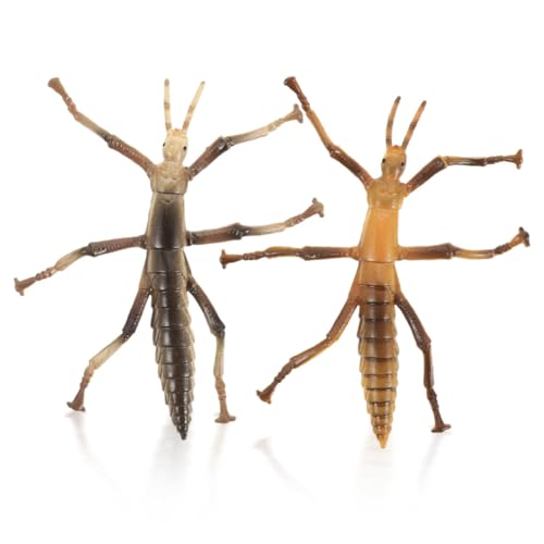 ERINGOGO 2 Stück Teiliges Insekten Lernspielzeug Kunststoff Stabheuschrecken Modell Stabile Geruchsfreie Simulation für Naturforscher und Pädagogisches Wildtier Figurenset ERINGOGO 2 Stück Teiliges Insekten Lernspielzeug Kunststoff Stabheuschrecken Modell Stabile Geruchsfreie Simulation für Naturforscher und Pädagogisches Wildtier Figurenset von ERINGOGO