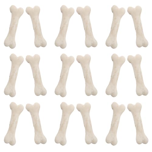 ERINGOGO 20 Pcs Hund Mini Knochen Harz Modell Gefälschte Miniatur Skelette Für Halloween Dekorative Spielzeug Requisiten von ERINGOGO