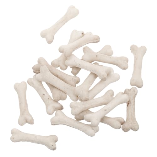 ERINGOGO 20 Stück Teiliges Mini Knochen aus Harz Realistische Skelett Nachbildung Kleine Deko Bastelaccessoires für DIY Mikro landschaften Halloween Dekoration und Lernspielzeug von ERINGOGO