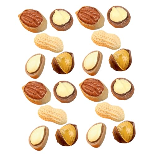 ERINGOGO Puppenhaus Miniatur Nüsse 20 Stück Harz Simulation Nuss Snack Spielzeug Für Miniatur Einzigartiges Mini von ERINGOGO