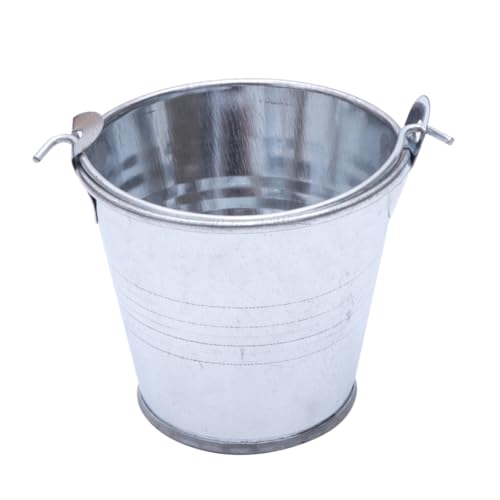 ERINGOGO 24St Blumentopf für Mini Eimer pflanzenkübl Office Decoration blumenkübel Dekokörbe mehrere Fenster hochzeitskerze Mini-Eimer aus Metall Eimer aus Weißblech Silver ERINGOGO 24St Blumentopf für Mini Eimer pflanzenkübl Office Decoration blumenkübel Dekokörbe mehrere Fenster hochzeitskerze Mini-Eimer aus Metall Eimer aus Weißblech Silver von ERINGOGO