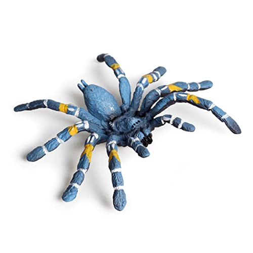 ERINGOGO 2St plastiktiere für Kinder Spielzeug Spinnenmodell Tierfiguren für Zoo-Enthusiasten Modelle Spielzeuge Kinderspielzeug Reptilienmodell simuliertes Spinnenmodell Mini Ornamente von ERINGOGO