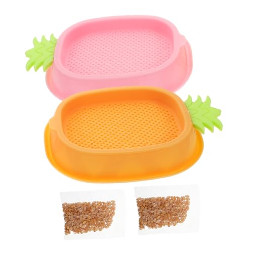 ERINGOGO 2stücke Junge Mädchen Katzengras Hydroponik Pflanztöpfe Soilless Anzuchtbox Für Indoor Pflanzen Lernspielzeug Geduld Und Verantwortung Bei Kindern ERINGOGO 2stücke Junge Mädchen Katzengras Hydroponik Pflanztöpfe Soilless Anzuchtbox Für Indoor Pflanzen Lernspielzeug Geduld Und Verantwortung Bei Kindern von ERINGOGO
