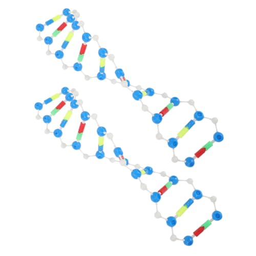 ERINGOGO 2st -Modell Biologielehrerbedarf Motormodellbausatz Lehrmittel Anstery- -kit Pflanzenzellmodell -vaterschaftsset Bausatz Für Molekularmodelle -Test Plastik von ERINGOGO