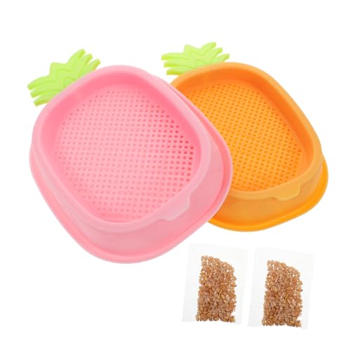 ERINGOGO 2stücke Katzengras Hydroponik Pflanzer Für Junge Mädchen Soilless Potted Cat Grass Growing Box Indoor Hydroponik Container Für Frisches Katzengras Und Spielzeug ERINGOGO 2stücke Katzengras Hydroponik Pflanzer Für Junge Mädchen Soilless Potted Cat Grass Growing Box Indoor Hydroponik Container Für Frisches Katzengras Und Spielzeug von ERINGOGO