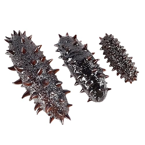 ERINGOGO 3 Stück Teiliges PVC Seeigel Modell Realistische Künstliche Meeresfrüchte Deko Lebensechte Nachbildung Pädagogisches für Leicht und Detailgetreu ERINGOGO 3 Stück Teiliges PVC Seeigel Modell Realistische Künstliche Meeresfrüchte Deko Lebensechte Nachbildung Pädagogisches für Leicht und Detailgetreu von ERINGOGO