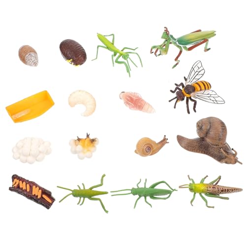 ERINGOGO Realistische Miniatur-insektenmodelle Für Jungen Und Mädchen 4 Sets Wachstumszyklus Lernspielzeug Lebensechtes Design ERINGOGO Realistische Miniatur-insektenmodelle Für Jungen Und Mädchen 4 Sets Wachstumszyklus Lernspielzeug Lebensechtes Design von ERINGOGO