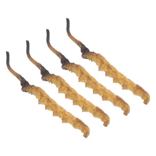 ERINGOGO Cordyceps-Set 4-teilig Simulierte Materialien Für Geschäfte Und Requisiten von ERINGOGO