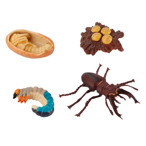 ERINGOGO 4 Stück Insektenwachstumsmodell Teiliges Pädagogisches zur Simulation des Lebenszyklus für Lernmittel Kreativität und Naturerkundung ERINGOGO 4 Stück Insektenwachstumsmodell Teiliges Pädagogisches zur Simulation des Lebenszyklus für Lernmittel Kreativität und Naturerkundung von ERINGOGO