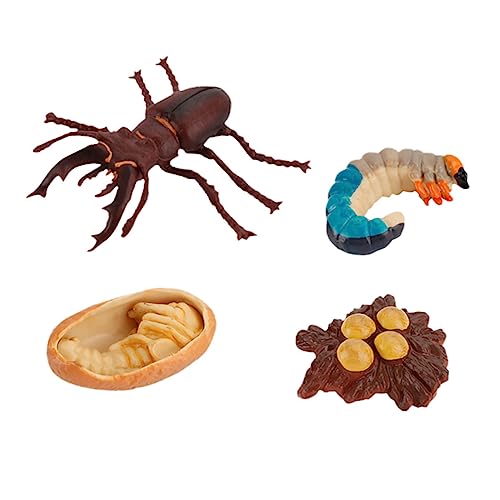 ERINGOGO 4 Stück Teiliges Insektenwachstumsmodell für Realistische Lebenszyklus Darstellung für Lernspielzeug und Partydekoration Fördert Verständnis der Natur und Wissenschaft von ERINGOGO