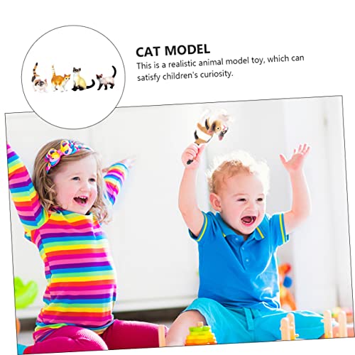 ERINGOGO 4 Stück Teiliges Katzenmodell aus Robustem Kunststoff Realistische Kätzchen Figuren für Detailreiche Tierfiguren zur Dekoration von Zimmern und Spielwelten ERINGOGO 4 Stück Teiliges Katzenmodell aus Robustem Kunststoff Realistische Kätzchen Figuren für Detailreiche Tierfiguren zur Dekoration von Zimmern und Spielwelten von ERINGOGO