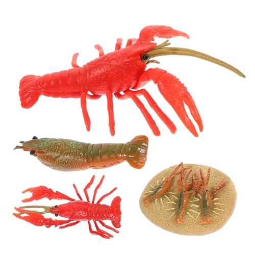 ERINGOGO 4 Stück Teiliges Kunststoff Hummer Wachstumszyklus Modellset Pädagogisches Realistische Hummerfiguren Lernhilfe für Kinderzimmer Dekoration und Unterricht ERINGOGO 4 Stück Teiliges Kunststoff Hummer Wachstumszyklus Modellset Pädagogisches Realistische Hummerfiguren Lernhilfe für Kinderzimmer Dekoration und Unterricht von ERINGOGO